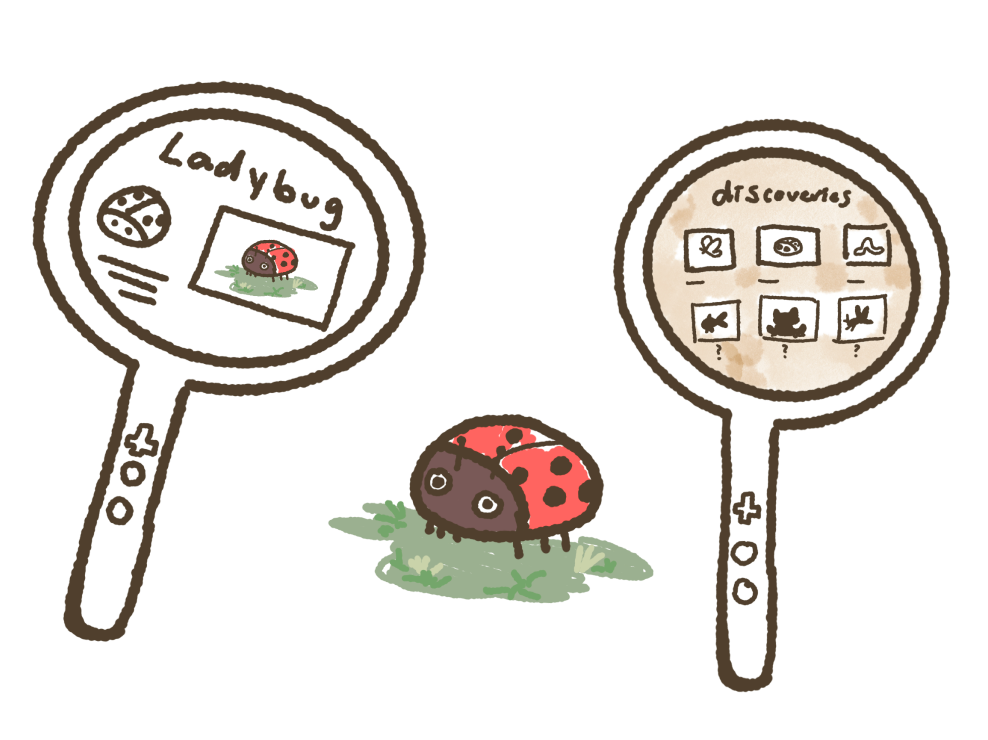 Ladybug illustration