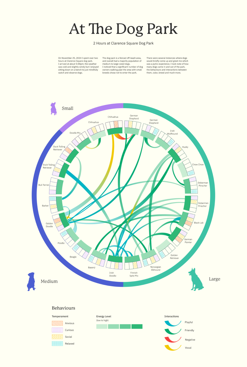 At the dog park data visualisation